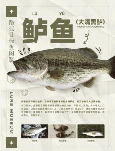 鲈鱼属于深海鱼吗_鲈鱼不是深海鱼，别被营销骗了