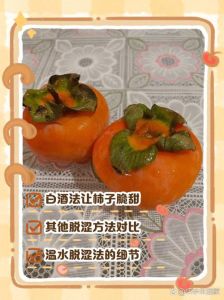脆柿子涩口怎么处理_温水水果酒精冷冻