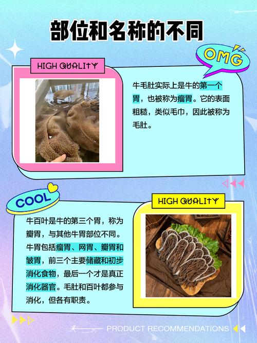 毛肚与牛百叶图解_火锅常见美味，口感营养两不误