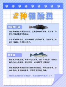 假鳕鱼和真鳕鱼的区别_真鳕鱼怎么挑？看颜色鳞片蒸出来才嫩！