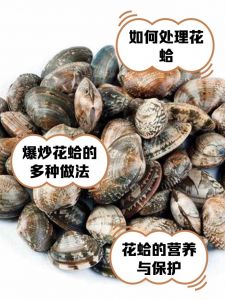花甲扇贝蛤蜊生蚝有啥区别_花甲蛤蜊扇贝区别与做法
