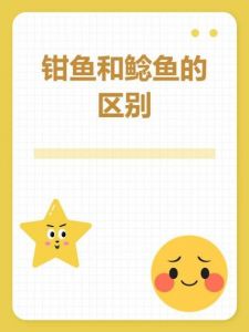 江团鱼和钳鱼的区别