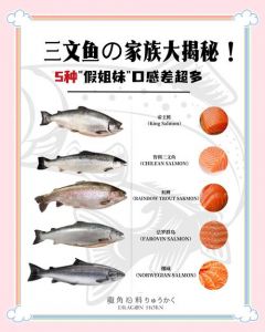 假三文鱼是什么鱼_三文鱼真伪辨别指南，吃得更放心