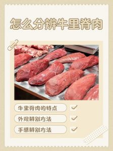 牛腩和牛套皮的区别_口感与烹饪选择指南
