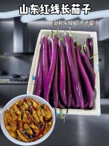 长茄子需要削皮吗_家常炒茄子，不油腻，鲜又嫩