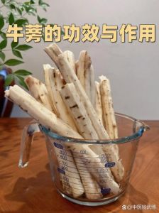 牛蒡口感像什么_微苦回甘脆嫩，蒸煮变甜香