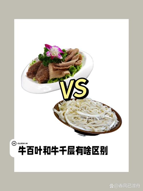 毛肚与牛百叶图解_火锅常见美味，口感营养两不误