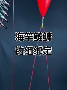 大头鲢鱼钓法图解_饵料线组钓点全攻略