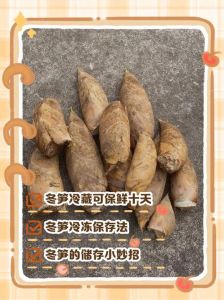 冬笋为什么涩_焯水泡竹笋，去苦味，春天吃竹笋正合适！