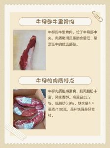 牛柳就是牛里脊吗_牛柳牛里脊一样吗？