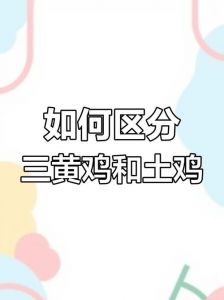 二黄鸡和三黄鸡的区别_颜色肉质大不同