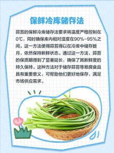 蒜苔能煮水后放冷冻吗_冷冻蒜苔简单做，脆嫩营养好！