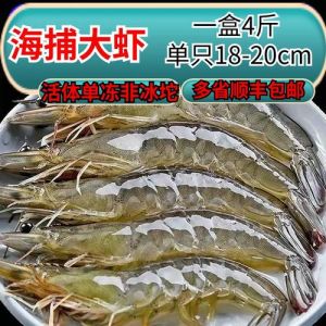 大白对虾是基围虾吗_外观口感大不同