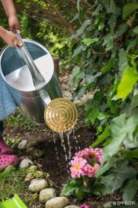 醋稀释后可以浇花吗_杜鹃喜酸好帮手，稀释使用需小心