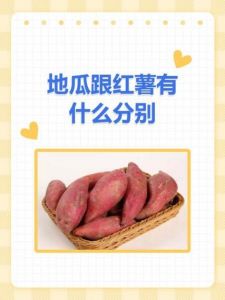 山芋是不是红薯_红薯山芋地瓜，营养丰富，能补脾养胃