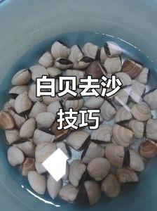 白蚬子怎么吐沙干净_盐水油或温水，轻松让蚬子吐沙
