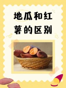 山芋和红薯是一个东西吗_红薯山芋营养高，常吃有益身体好