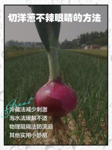 怎么防止切洋葱辣眼睛_洋葱刺激眼？冷藏快切戴眼镜，科学防刺！