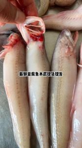 水潺是淡水鱼吗_水潺豆腐鱼，鲜美营养家常菜