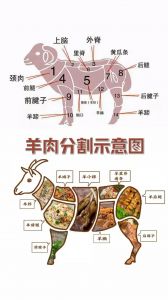 羊肉部位肉详细分解图_冬季羊肉怎么吃？各部位做法与风味大公开