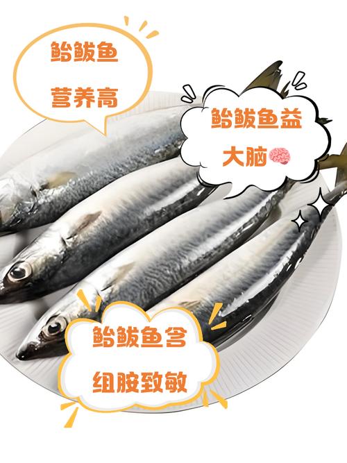 鲅鱼属于深海鱼吗_鲅鱼营养价值高，味道鲜美，是浅水鱼美食