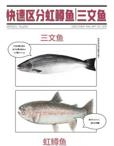 鳟鱼和三文鱼肉对比_哪个更适合你？