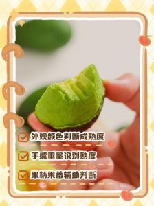 判断牛油果成熟的方法_如何挑熟牛油果？看色按压闻香尝味全攻略