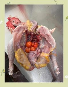 鸡储存食物的器官叫什么_鸡嗉囊功能与常见问题
