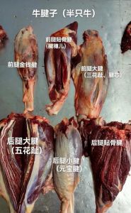 牛腩和牛腱子肉哪个好_牛腩软烂炖煮，牛腱紧实卤制，口感随心选！