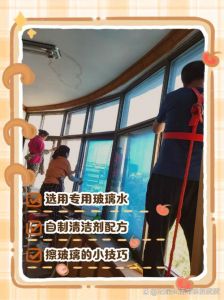 怎么擦玻璃又快又干净不留水痕_报纸+天然清洁剂，省力又亮！