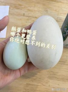 红头鸭蛋和鹅蛋的区别_鹅蛋鸭蛋怎么分？营养口感大不同！