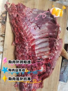 狗肉俗称什么肉_传统美食与争议的交织