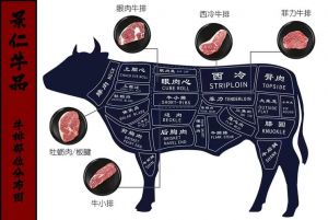 白切牛肉选择牛哪个部位_牛肉部位与烹饪技巧全解析