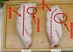 猪蹄分前后图解_形状脚趾切口大不同！