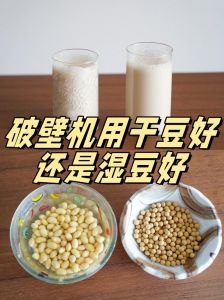豆浆机豆子打不碎的原因与有效处理方法详解