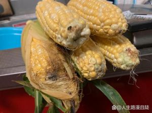 玉米坏了是什么样图片_河南罕见雨天秋收难，玉米花生遭殃！