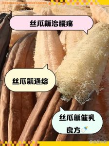 丝瓜去掉瓤是什么_丝瓜络洗碗好，还能通络活血治痛风