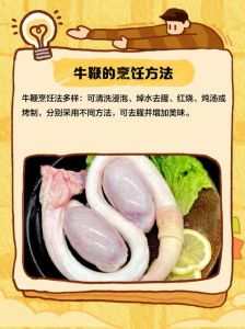 牛鞭在牛的身体哪个部位_传统食材与营养价值