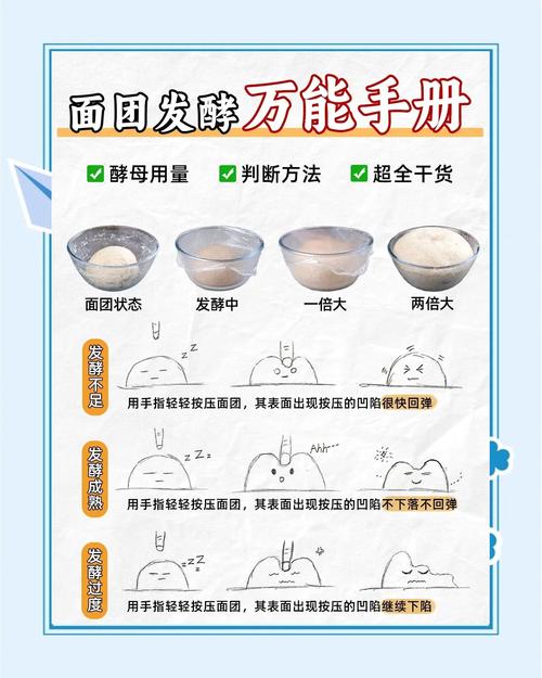 用酵母发面做馒头的步骤_白糖酵母面团发酵蒸馒头教程