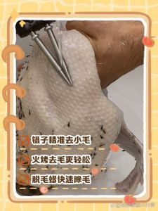 鸭子为什么会掉毛_鸭子掉毛怎么办？原因与处理方法