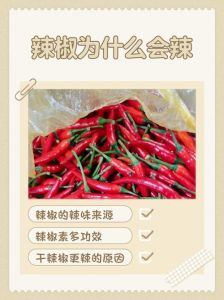 青椒的辣味怎么去除_去除青椒辣味有几种方法