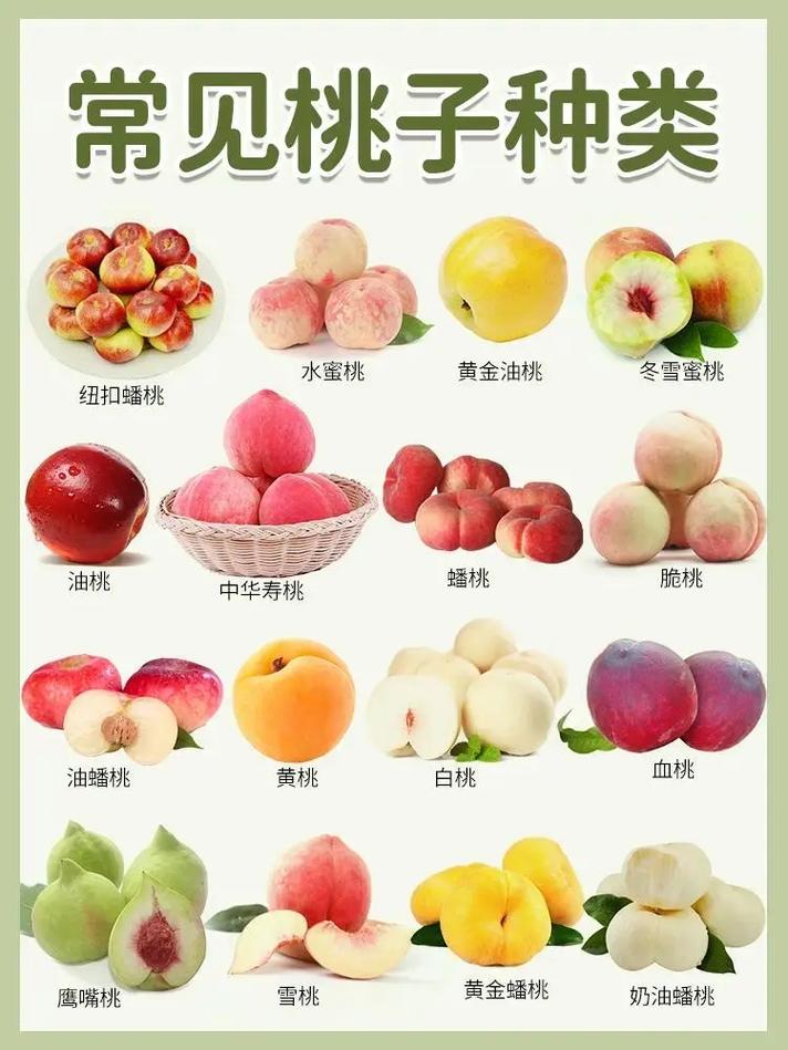 蜜桃产品在一二三产区的区别与食用特点详解 蜜桃产品在一二三产区的区别与食用特点详解