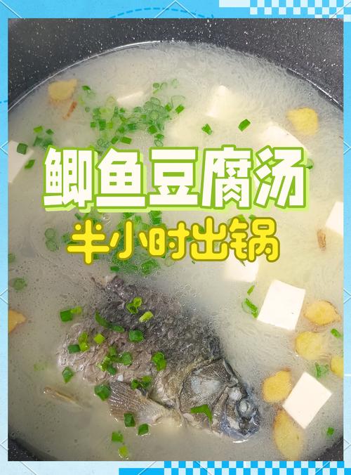 营养鲫鱼汤做法_家常鲫鱼萝卜汤，鲜美营养易做