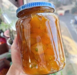 自制金桔膏的做法_选对金桔，冰糖熬制，润喉止咳！