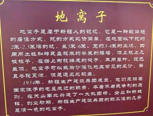 壮话发源地_广西少数民族语言，了解地域文化