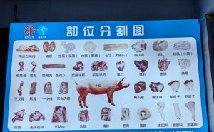 猪肉涮火锅用哪里的肉_火锅猪肉部位不同，风味各异！