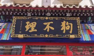 狗不理为什么叫狗不理_天津名小吃，历史与美味的传承