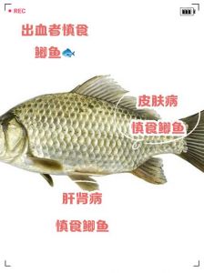 所有鲫鱼都有侧线吗_鲫鱼侧线是啥？感知危险和猎物