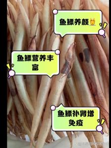 鱼肚就是鱼泡吗_鱼肚鱼泡区别大，口感营养都不同