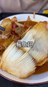 鱼翅都是鲨鱼的吗_拒吃鱼翅，保护鲨鱼生态